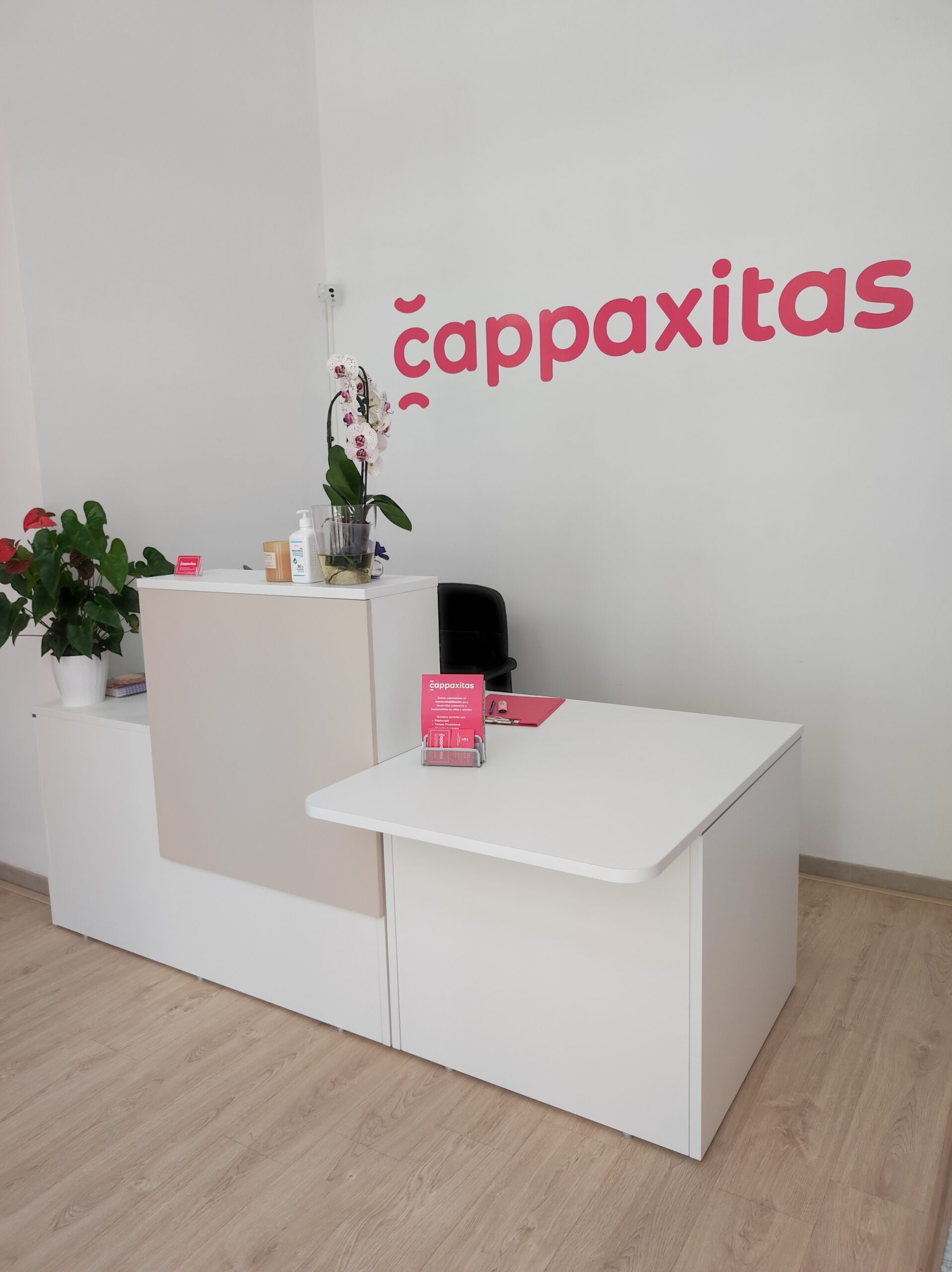 Featured image for “Cappaxitas: nuevo centro de Neurorrehabilitación”